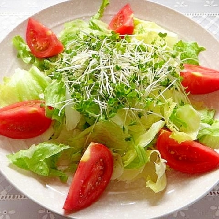 スプラウトとレタストマトのサラダ